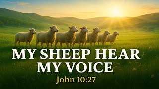 My Sheep Hear My Voice (John 10:27) | Powerful Worship Song About the Good Shepherd