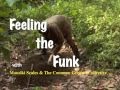 Feeling The Funk By Mausiki Scales mp3