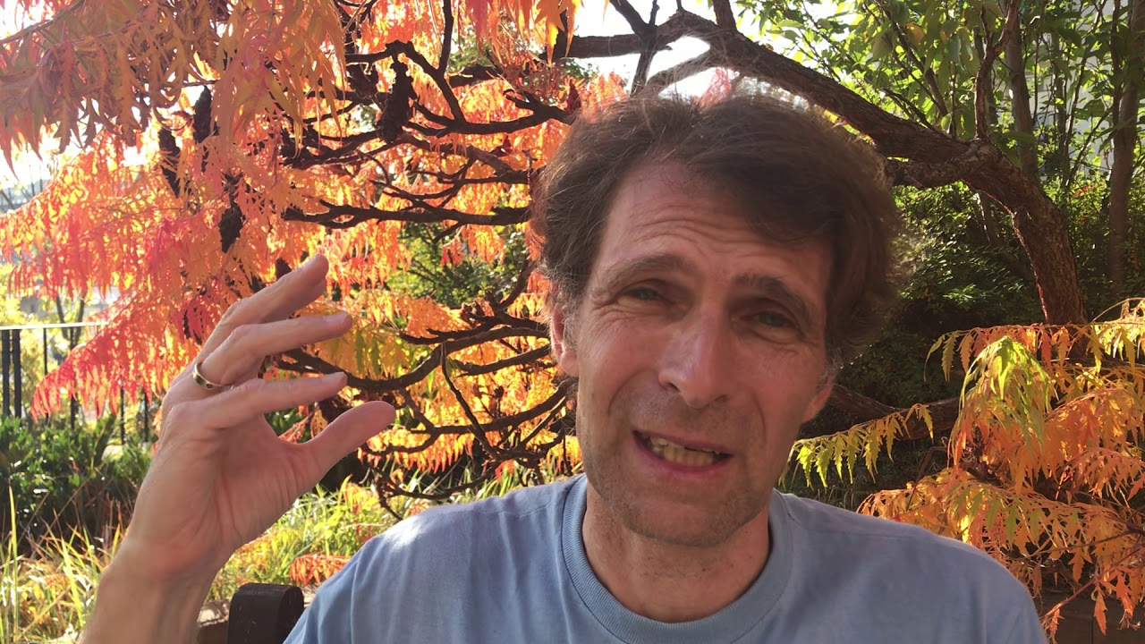 Ez az, amit a Skorpió jegyről tudni érdemes