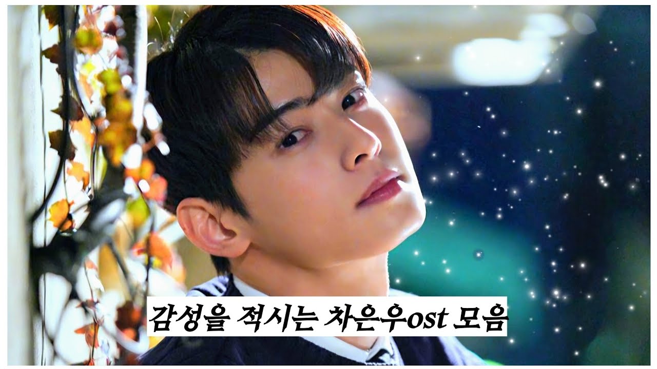 [Playlist] 우리가 사랑한 목소리, 차은우 / The voice that we love, Cha Eun-Woo