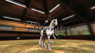 Heyy guys!! today i'm here with this video and the new lusitano!! i
really like all of them! you?? :d welcome home windphantom aka toro
hope you enjoy th...