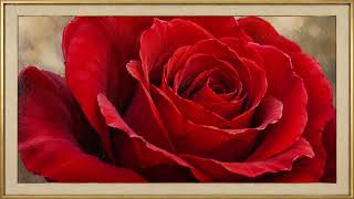 4K Framed Acrylic Rose Close-Up | Elegant Floral Wall Art for TV (3 Hours)