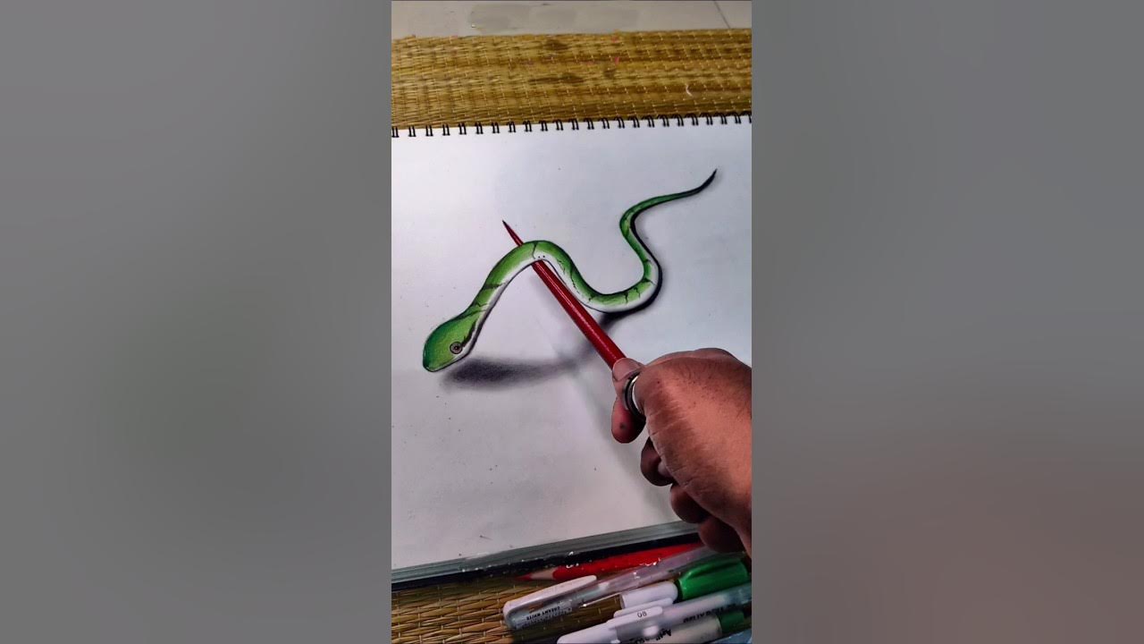 how to draw a realistic snake how to draw a snake easy and 3D sanke 🐍🐍 ...