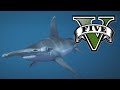 GTA V Shark Explorer