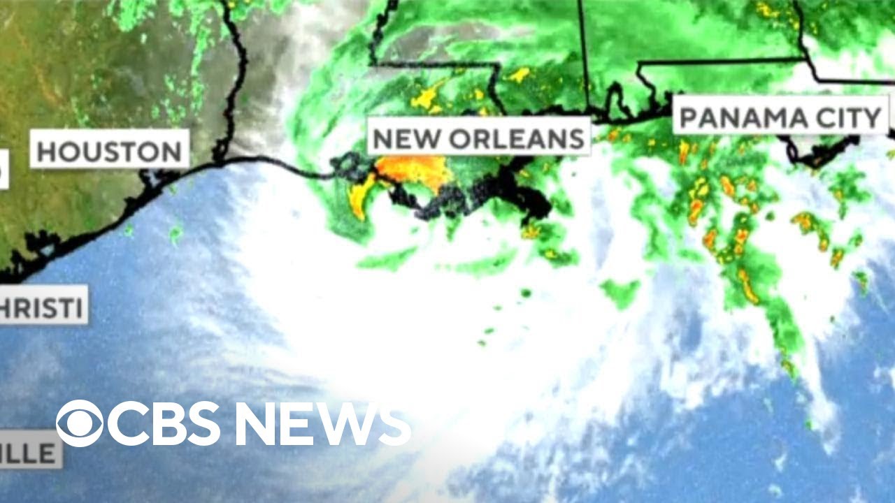 Hurricane Francine makes landfall in Louisiana - YouTube
