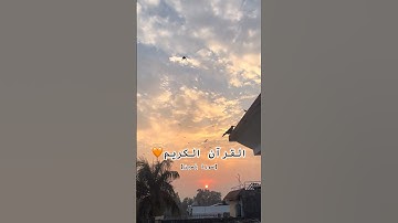 سورة يس - عبدالباسط عبدالصمد | SURAH YASIN💛🌻 #القرآن_الكريم #عبدالباسط_عبدالصمد #اكسبلور #سورة_يس