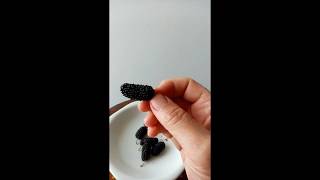 Mulberries! #mulberries #berries #juice #southafrica #harvest #tastytrends