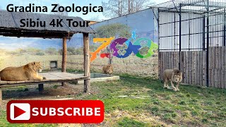 Zoo Sibiu 4K Tour | Tur Gradina Zoologica Sibiu in 4k | Hermannstadt / Sibiu / Romania Martie 2024