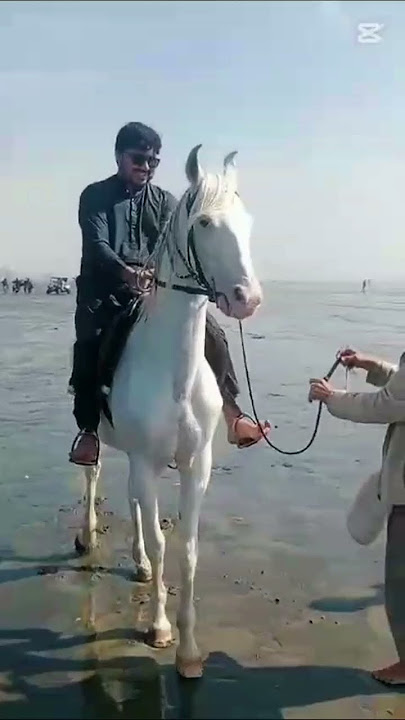 https://www.youtube.com/watch?v=s1_Y0G6B9y8###https://www.youtube.com/watch?v=NTOF767mzqI