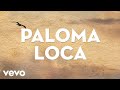 Los Rieleros Del Norte - Paloma Loca (LETRA)