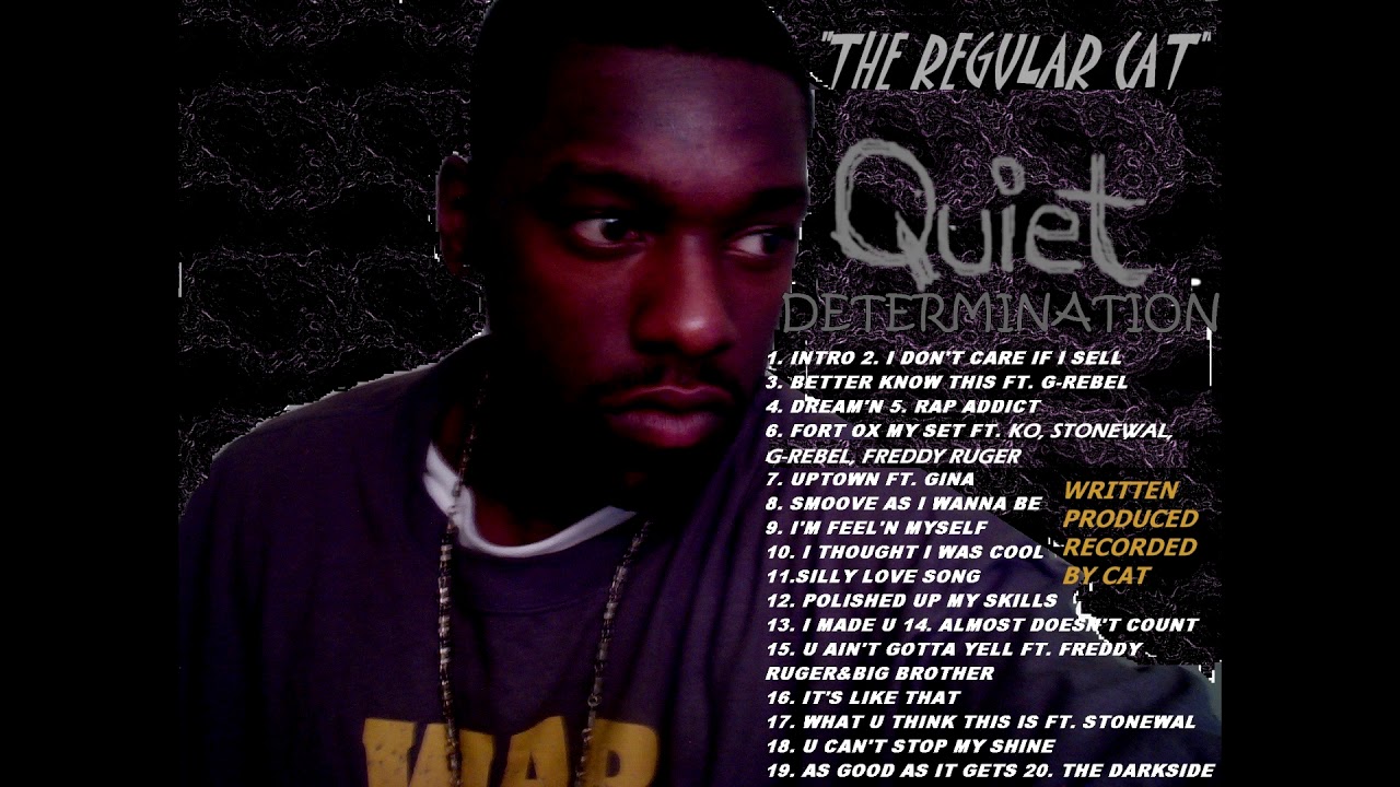 the regular cat rap addict YouTube