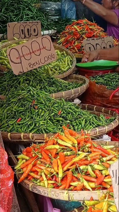 JENIS JENIS MACAM CABE YANG ADA DI INDONESIA (NEMENI ISTRI BELANJA CHECK)
