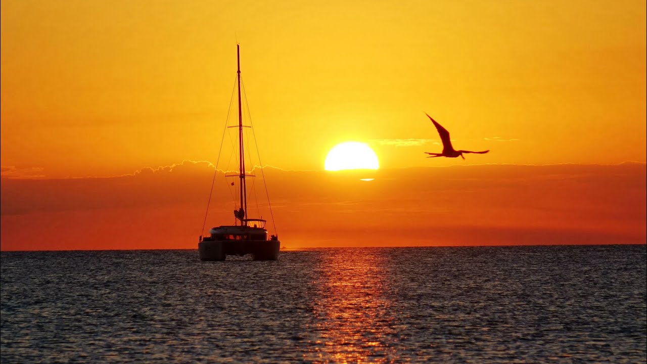 My Year 2019 - YouTube