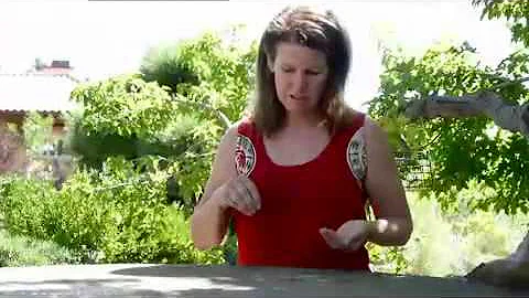 Aquaponic Gardening A Step by Step Guide to Growing Fish and Plants Together