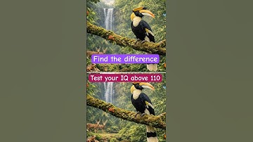Find the difference | Teat your IQ