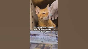 For Any help Link In Our channel Description to Donate. Every little bit counts