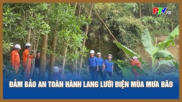 Đảm bảo an toàn hành lang lưới điện mùa mưa bão
