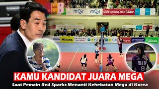 KAMU PASTI JUARA DI PROLIGA MEGA !! Kami Tunggu Kamu di Red Sparks dg Performamu Yang Tetap Stabil