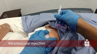 Olt 03 Intramuscular Injection V2