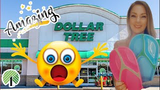 Unbelievable Dollar Tree Finds: MustHave Amazing Stuff!