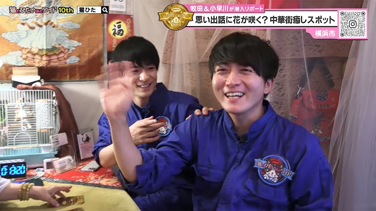 猫のひたいほどワイド #1594 潜入リポート・牧田習「思い出話に花が咲く？中華街癒しスポット」（横浜市中区）