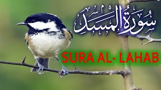 Surah Al Lahab | Surah Al Masad | Surah Masad For Beginners