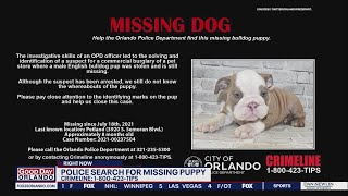 Orlando police searching for puppy stolen from Petland store