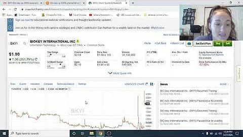 BKYI  Biokey surges 304%