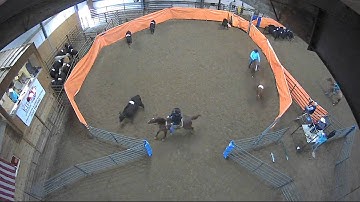 Big Sky Ranch Sorting Saddle Series #2 - #10 H/C - Round #1 - Ride #31