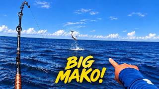 This Is Why You Don't Mess With a BIG MAKO SHARK (Insane Jump)