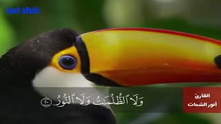 #keindahan alam  #dan  #alunan ayat-ayat suci alkur'an yang sangad merdu