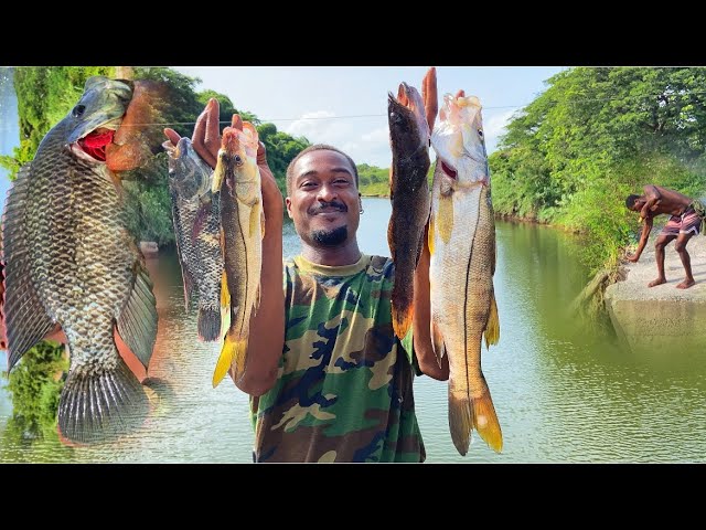 EPIC SNOOK HUNT ￼SLINGSHOT SPEARFISHING