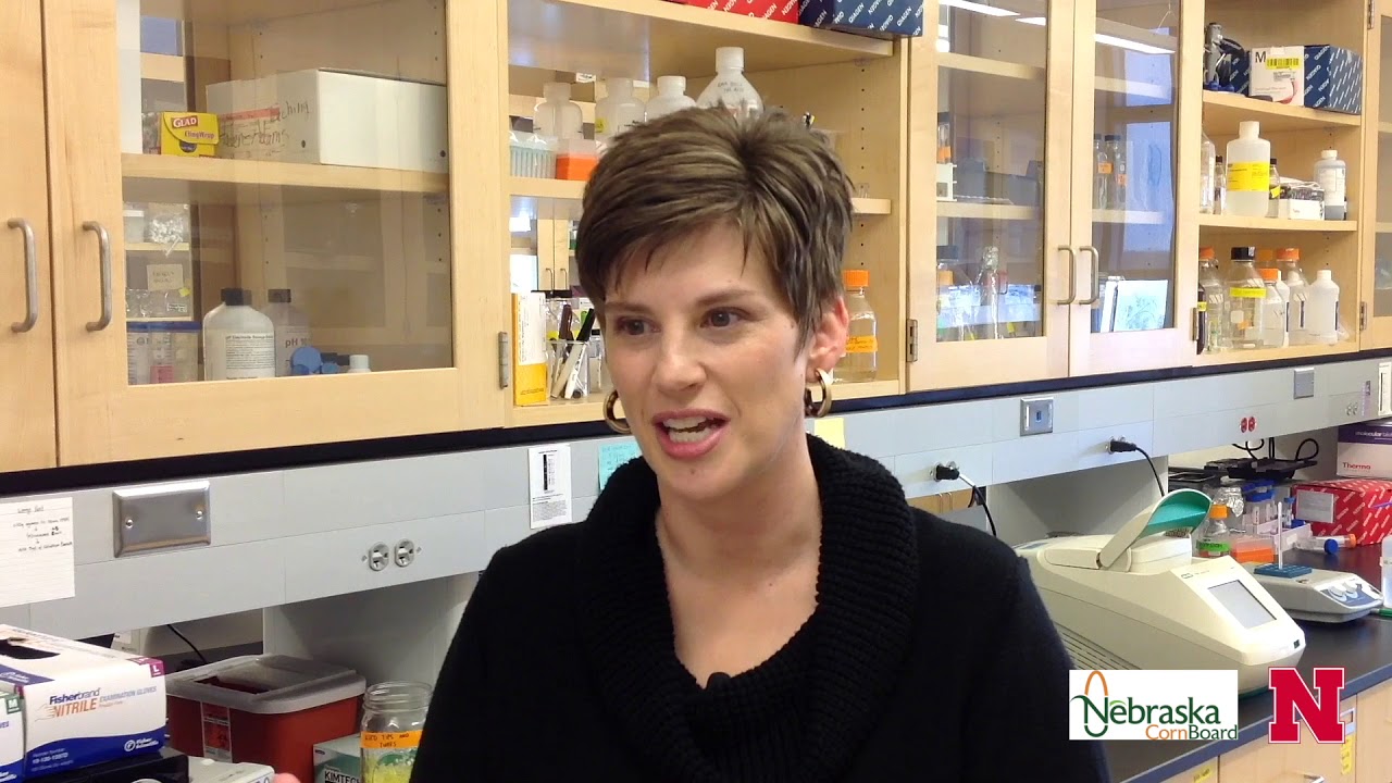 Corn Resistant Starches: Scientist Profile