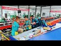 Realkey Tilt Tray Sorter | High-Speed Parcel Sorting System