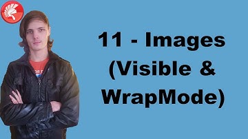 Delphi Programming Course (FMX): 11 - Images, Visible-Property and WrapMode-Property