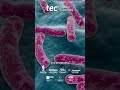 Advances in the molecular basis and diagnosis of colorectal cancer