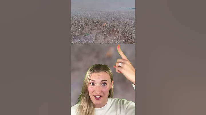 DISTURBING THINGS CAUGHT BY DRONES!😳