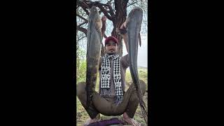 . C Skill Show "Real fisherman ka skille|Ek shot me pakdi machhli" #fishingexpert #anglerlife #desiv