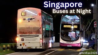 Night Bus Spotting Action, Singapore 2024 screenshot 2