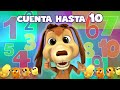 CHOCOLO CONTABA A LOS POLLITOS - MI PERRO CHOCOLO - APRENDE A CONTAR HASTA 10