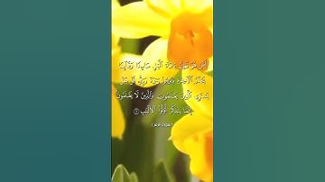أمَّن هو قانت آناء الليل||بصوت أبي المنتصر حفظه الله/تلاوة خاشعة/أرح سمعك وقلبك/حالات واتس اب قرأن