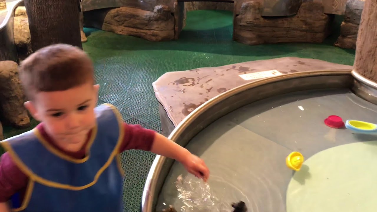 Peoria Playhouse Children's Museum Review YouTube