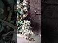 Kubota V2403 | giá 39 triệu | LH 0988787682