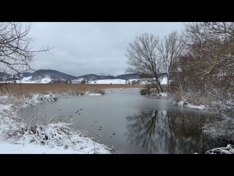 Video Ghiaccio e neve, lo spettacolo dell'inverno nell'oasi di Colfiorito