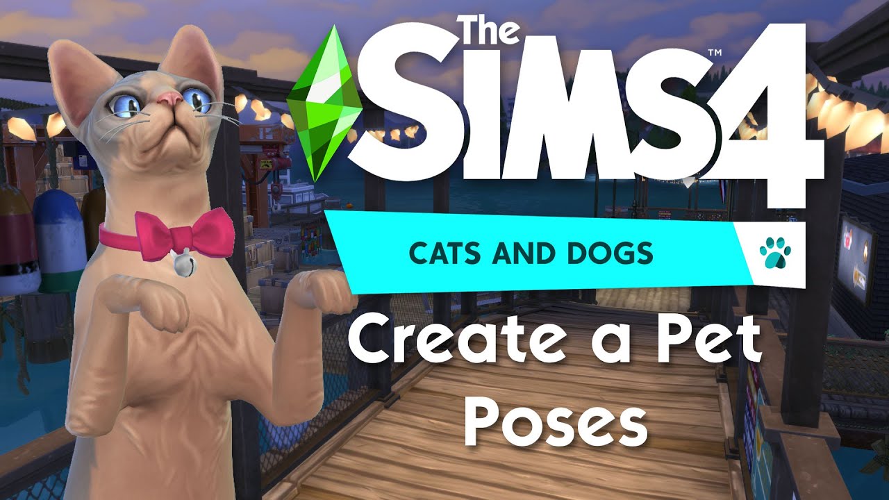 Create a Pet: Poses | The Sims 4 Cats &amp; Dogs Demo - YouTube