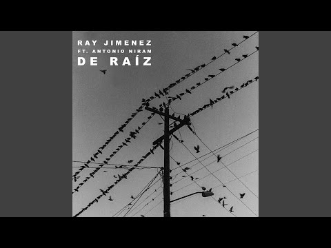 De Raíz (feat. Antonio Niram)