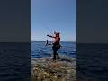 Catch & Cook #fishing #fish #pescaria #nature #naturelovers #catchandcook #sea #reels #fyp #fypage