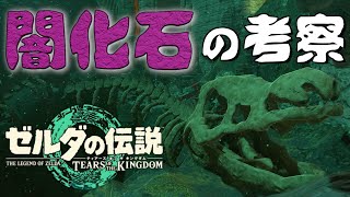 ティアキン【考察】闇化石を調べてたら水龍を見つけた　ゼルダの伝説　ティアーズオブザキングダム