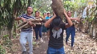 Vos Julio No Servía Para Ni Mi3Rda: Eso Le Dice Flor Su Mujer Jalando Leña 😱