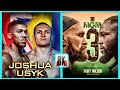 (WHAT NOW?) ANTHONY JOSHUA VS OLEKSANDR USYK - TYSON FURY VS DEONTAY WILDER III